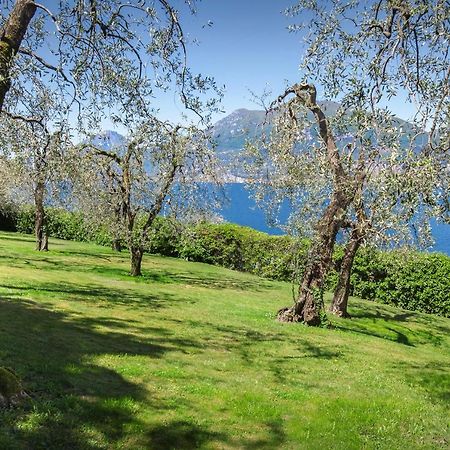 Villa Dismero-Un Oasi Di Lusso E Privacy Бренцоне-суль-Гарда Экстерьер фото