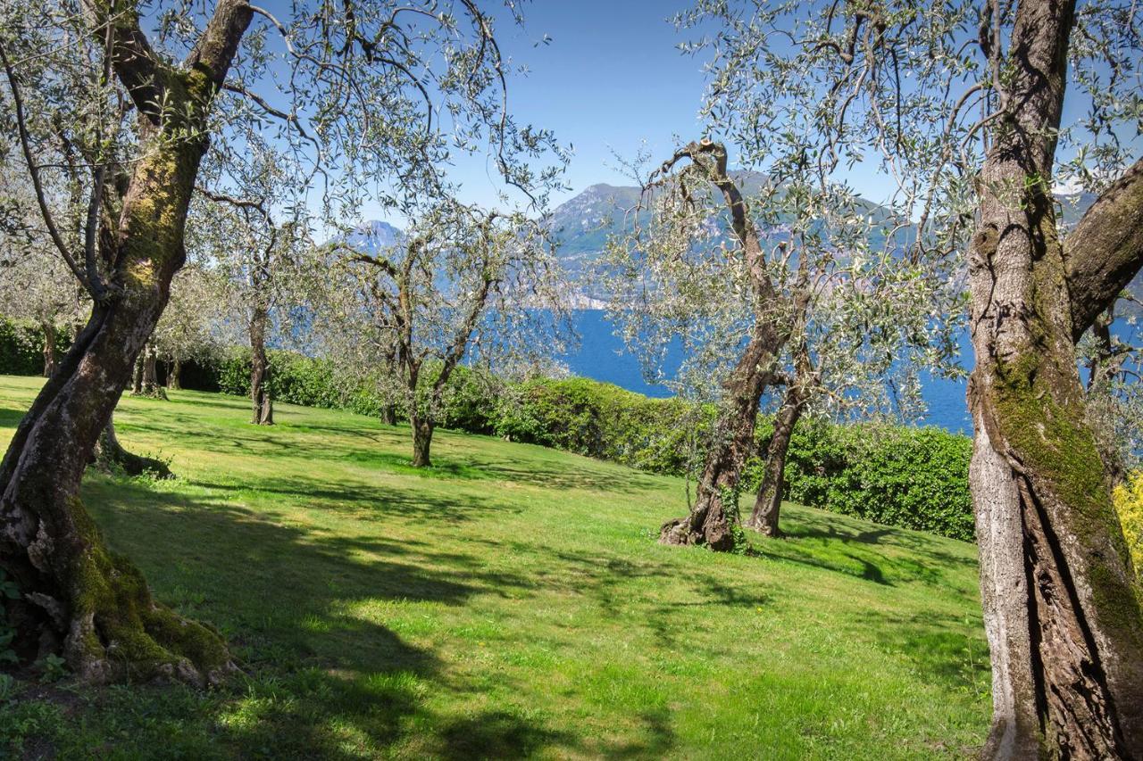 Villa Dismero-Un Oasi Di Lusso E Privacy Бренцоне-суль-Гарда Экстерьер фото